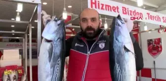 SAMSUN Karadeniz'de balıkçılar, sezonu erken kapatıyor