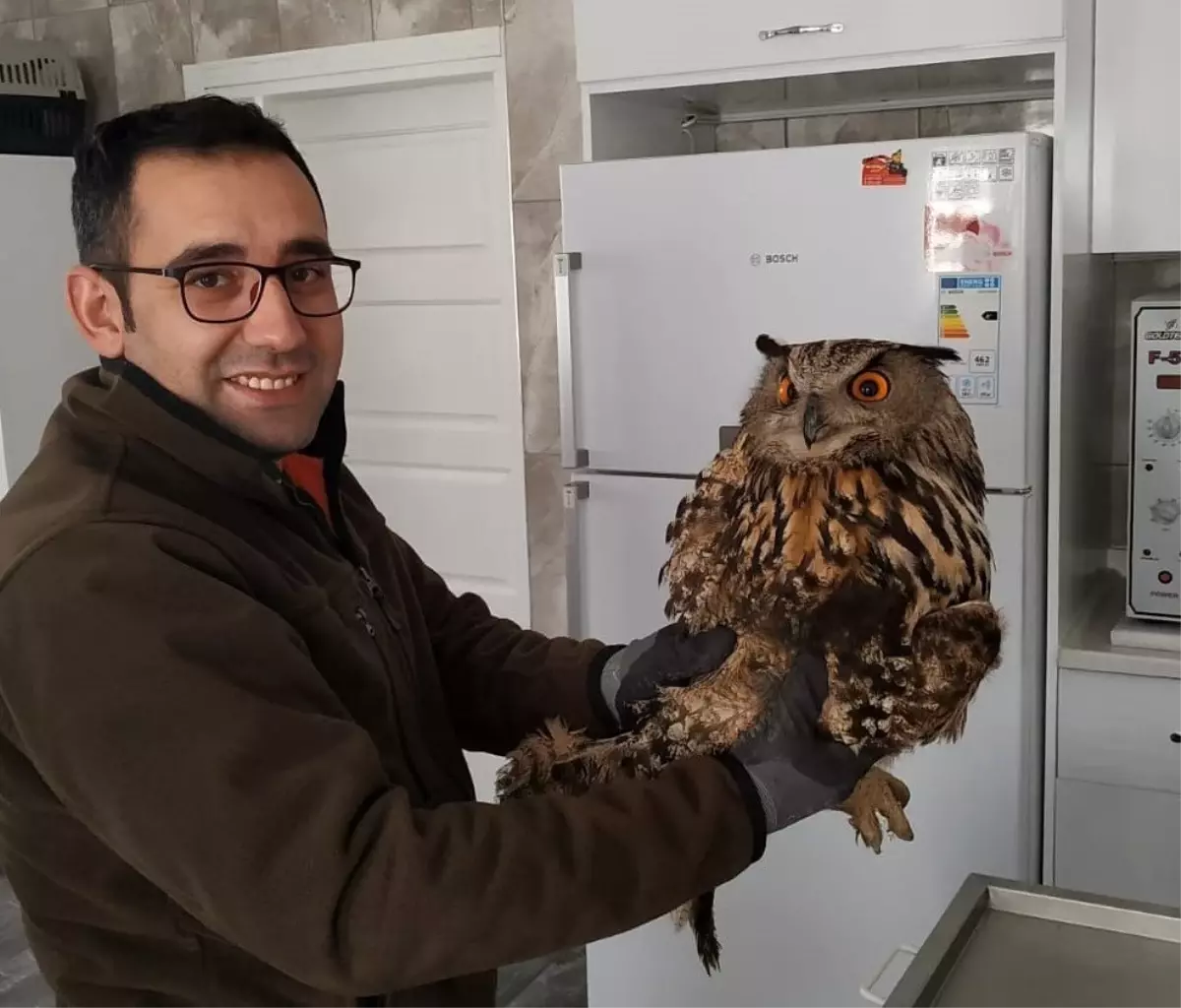 Yaralı baykuş tedavi altına alındı