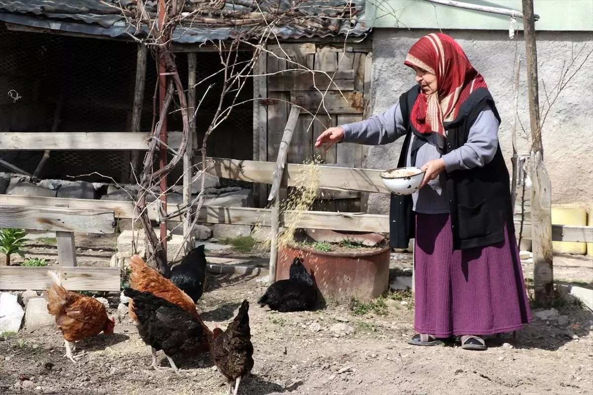 Yaşlılardan "Evde kal" çağrısına destek