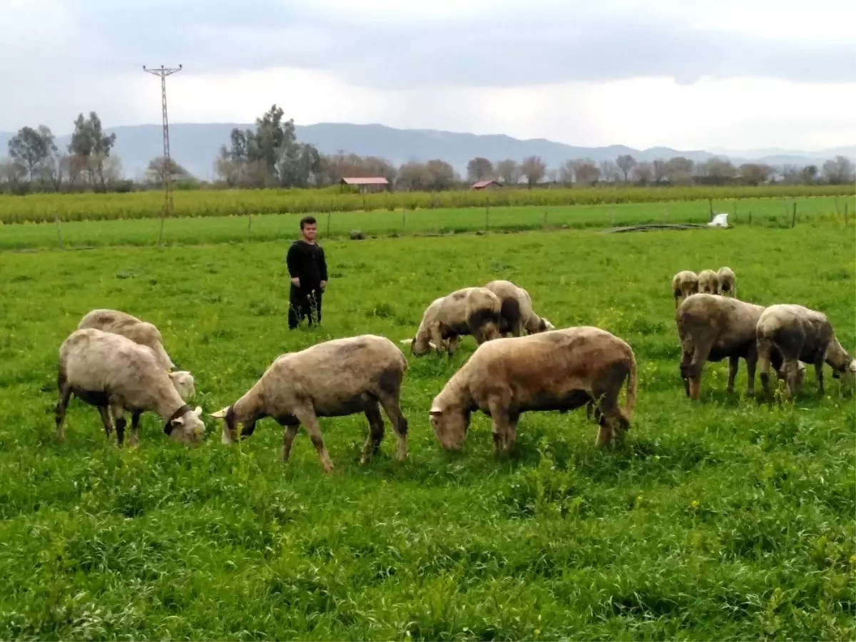 1 metre 31 santimlik genç, İŞKUR sayesinde hayaline kavuştu