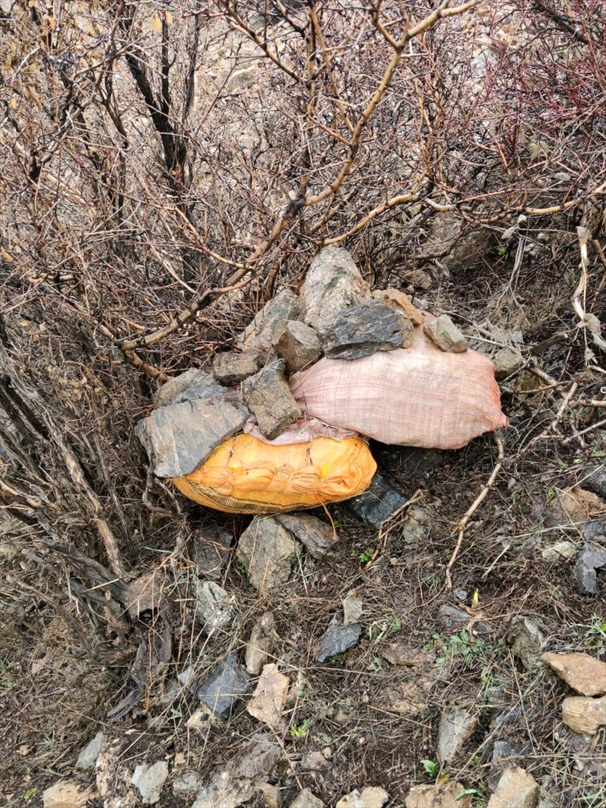 Hakkari\'de 4 el yapımı patlayıcı imha edildi