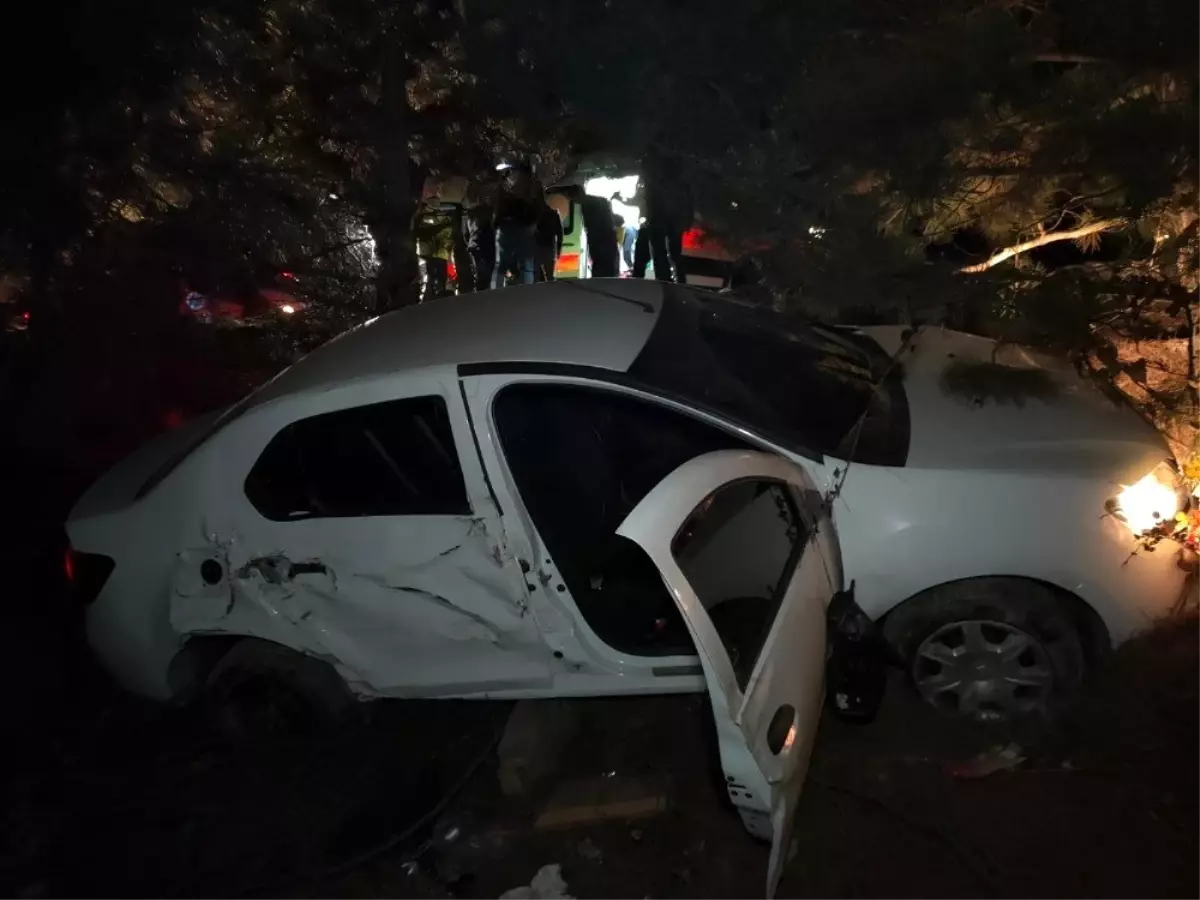 Kontrolden çıkan otomobil ağaca çarpıp şarampole uçtu: 1 ölü 3 yaralı