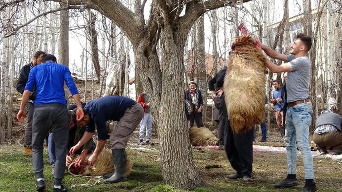 Koronavirüse karşı 180 kurban kesip ihtiyaç sahiplerine dağıttılar