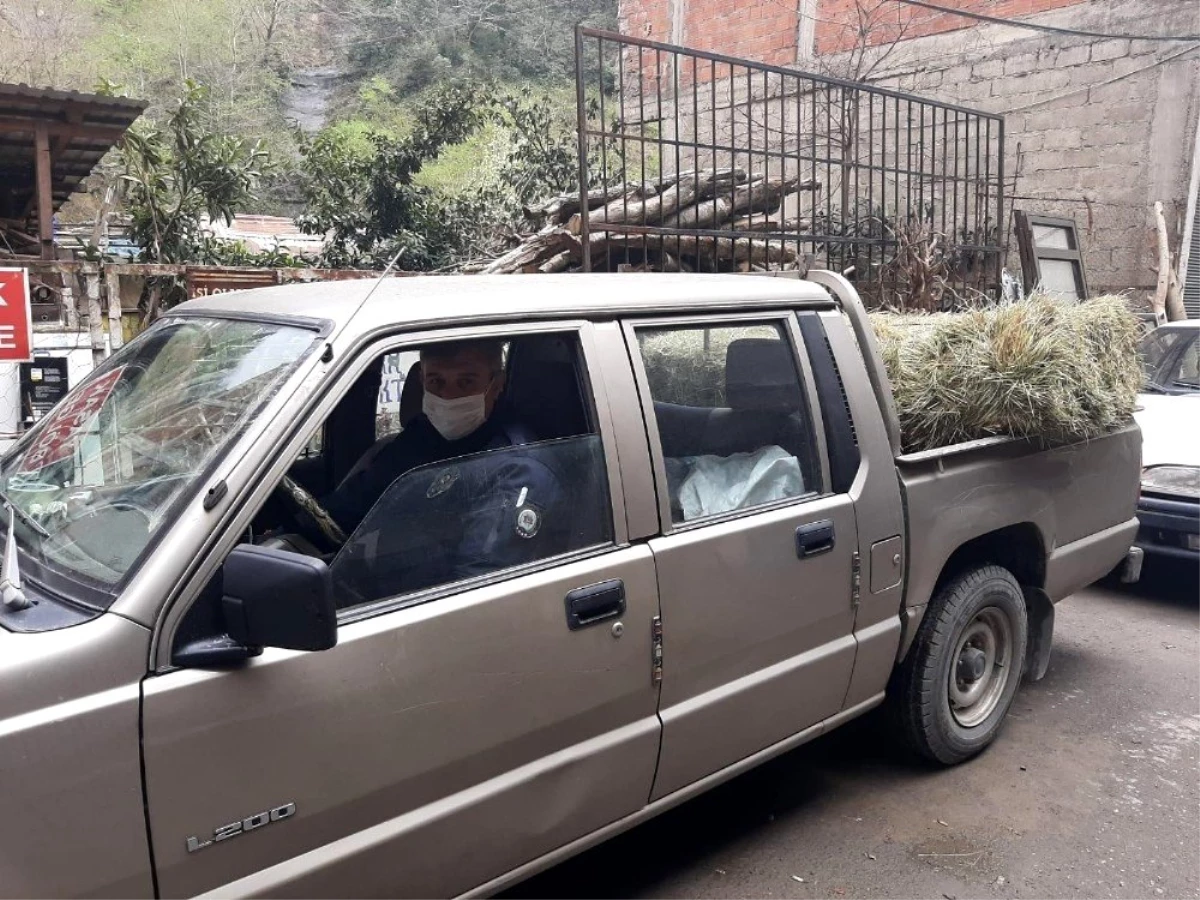 Medeni denilen Avrupa yaşlıları ölüme terk ederken Türk polisi yaşlıların inekleri için bile...