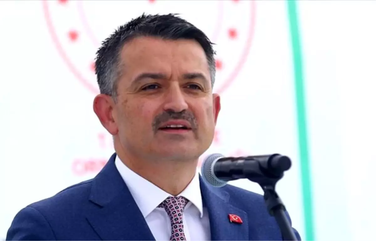 Pakdemirli: Türkiye\'nin gıda tedariğinde sorun yok 