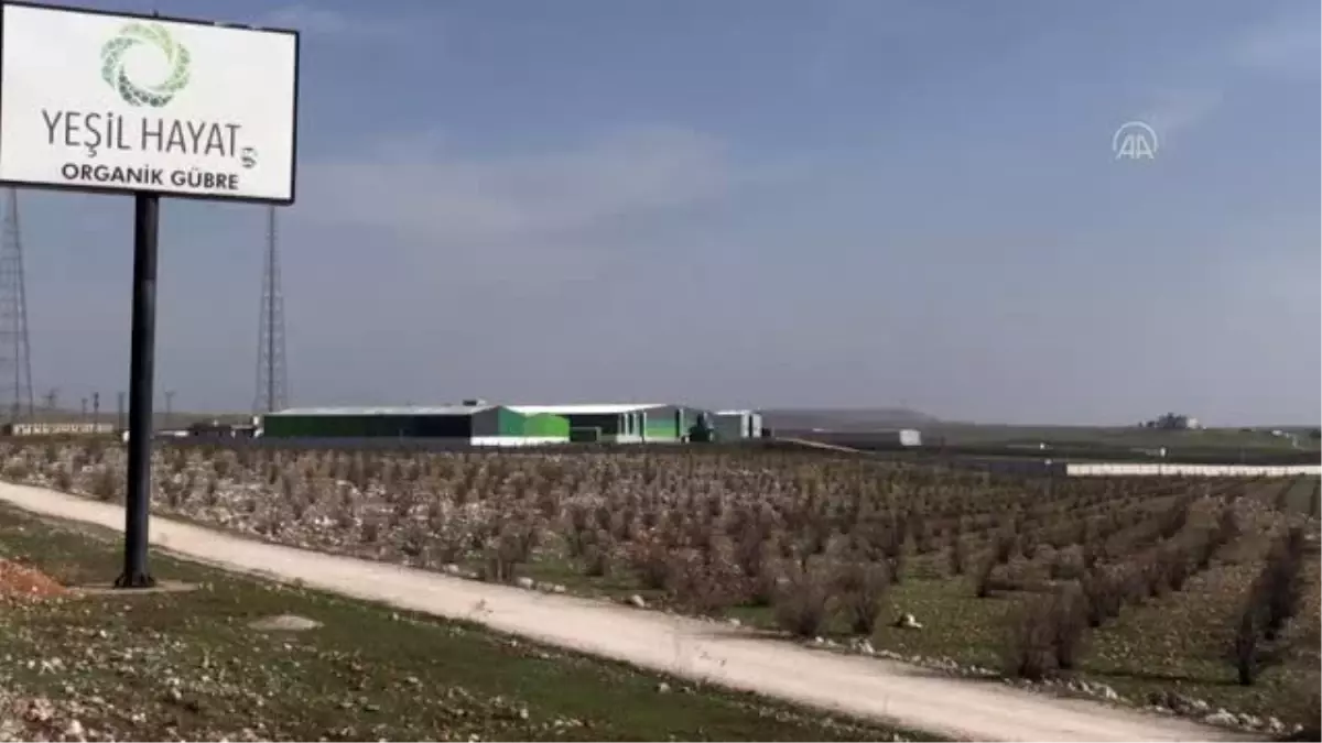 Şanlıurfa\'da üretilen organik gübre yurt dışına satılıyor