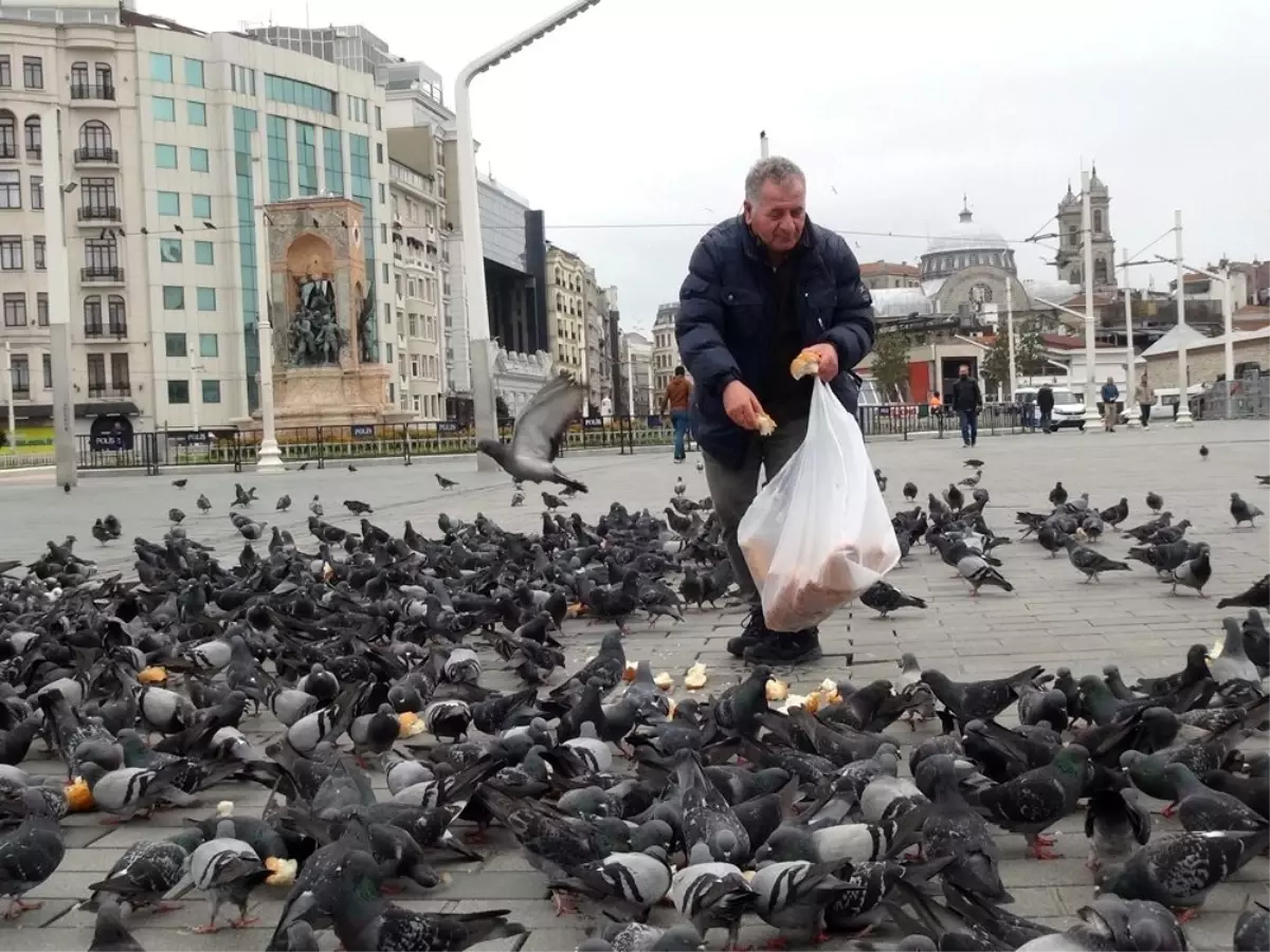 Vatandaşlar koronavirüs sebebiyle evlerine sığınınca Taksim Meydanı kuşlara kaldı