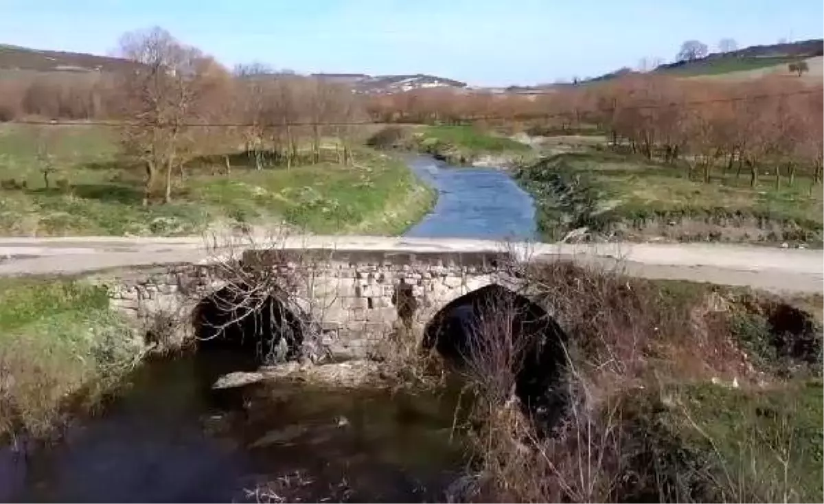 Tarihi köprüleri taşıma ihalesi