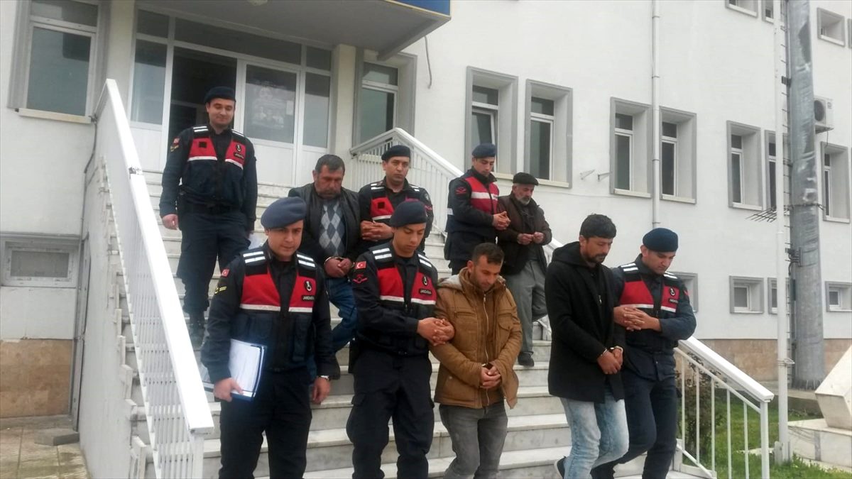 Aydın\'da hayvan hırsızlığı zanlıları yakalandı