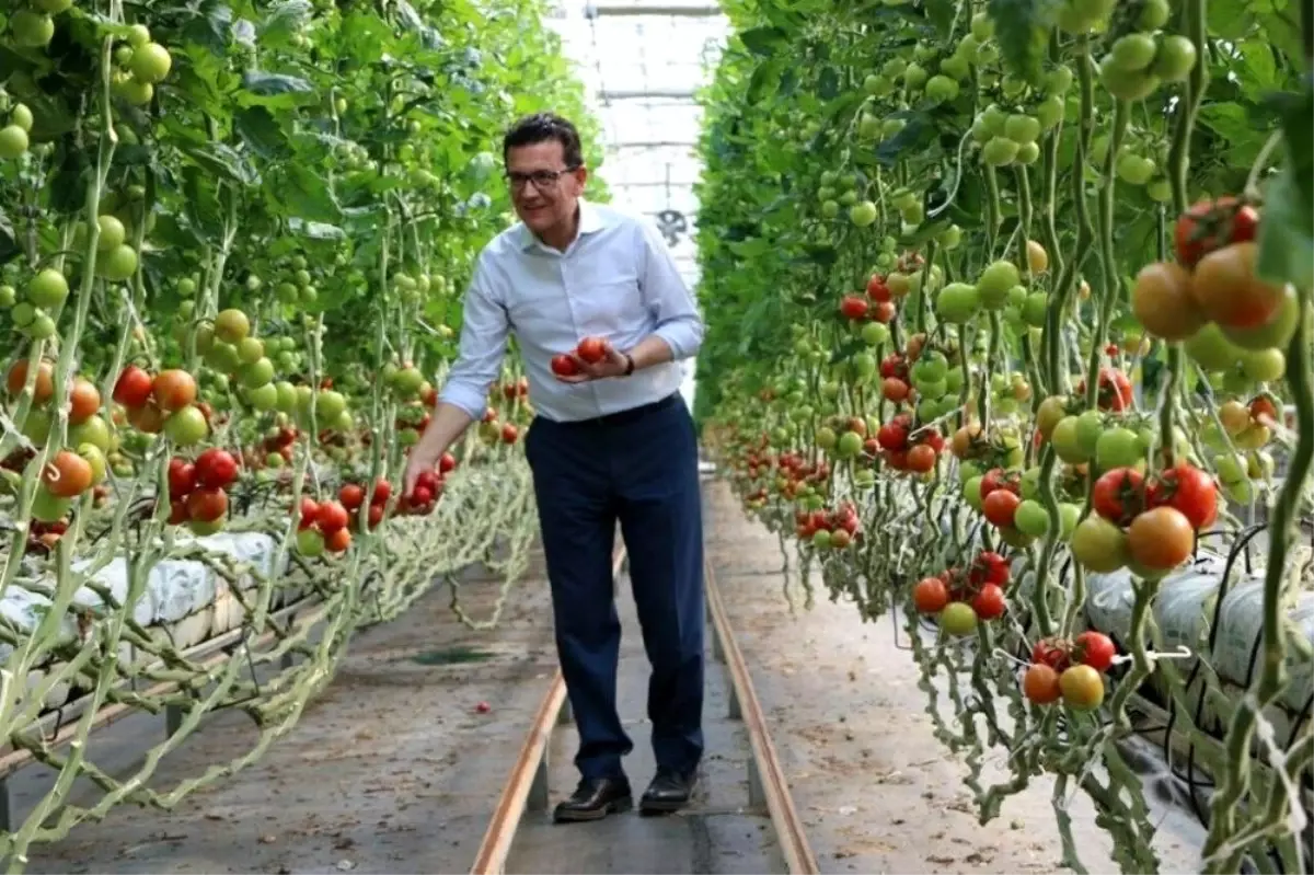 Çiftçiye faizsiz ve indirimli kredi desteği