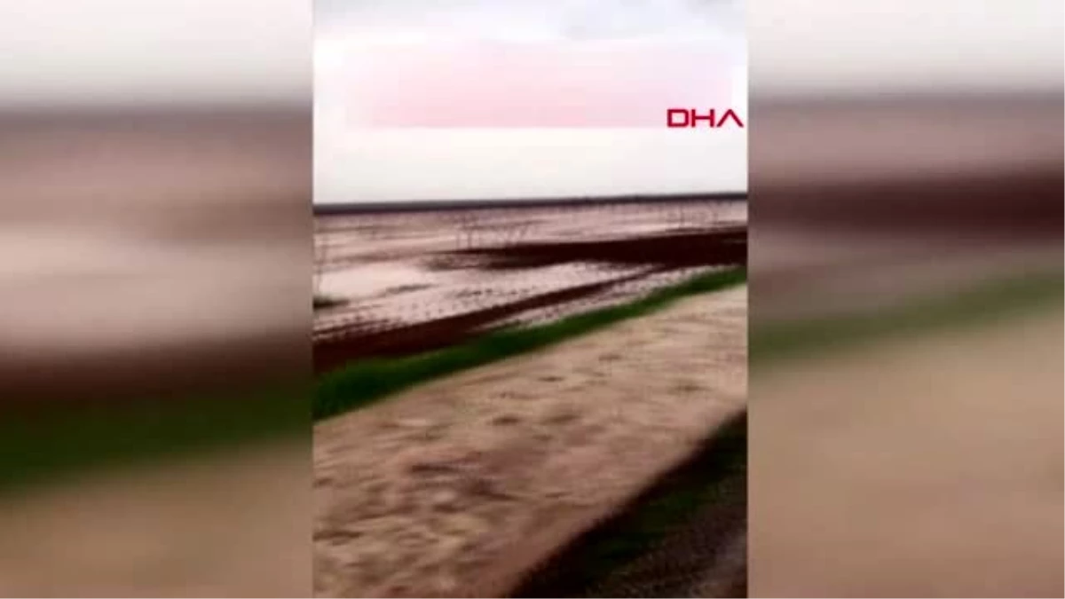GAZİANTEP Nizip ve Karkamış\'ta sel tarım arazilerinde hasara yol açtı