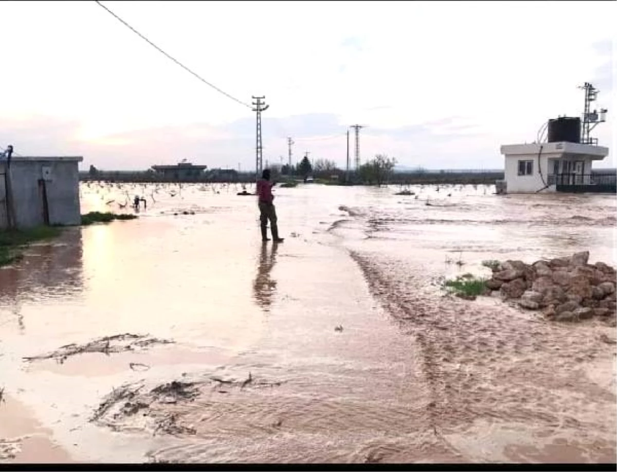 Nizip ve Karkamış\'ta sel tarım arazilerinde hasara yol açtı