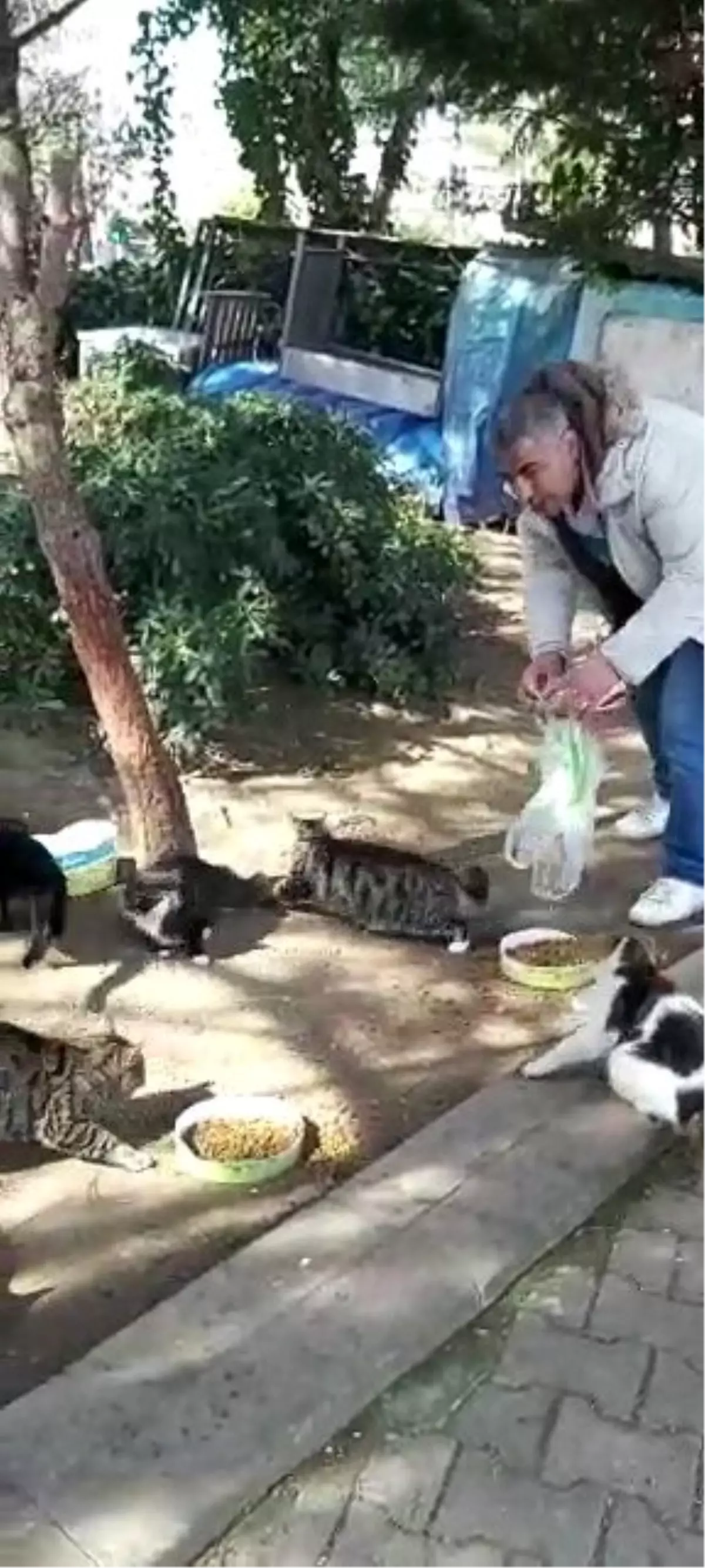 (Özel) Hayvansever, sokak hayvanlarını beslemek için evinden çıktı