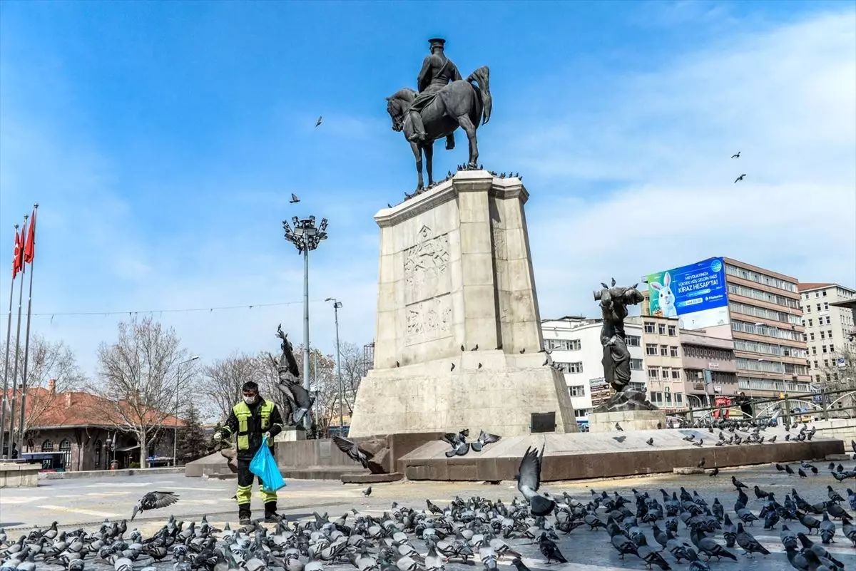 Altındağ Belediyesinden sokak hayvanlarına mama desteği