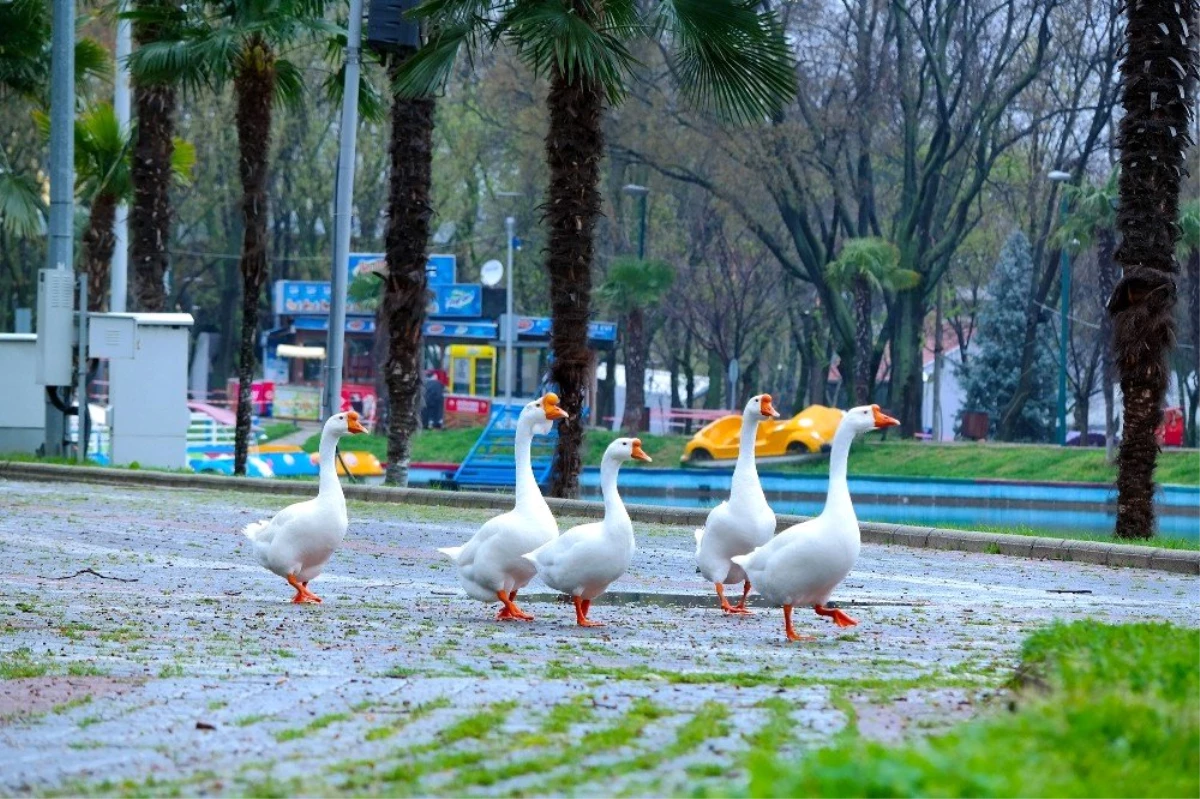 Bursa\'da parklar sağlık için kapatıldı