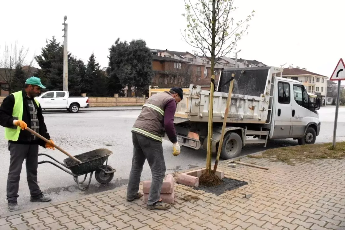 Düzce mis gibi kokacak