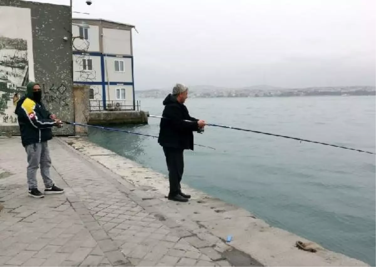 Karaköy\'de yasağa rağmen balık tutmaya geldiler: Kovana kadar buradayız