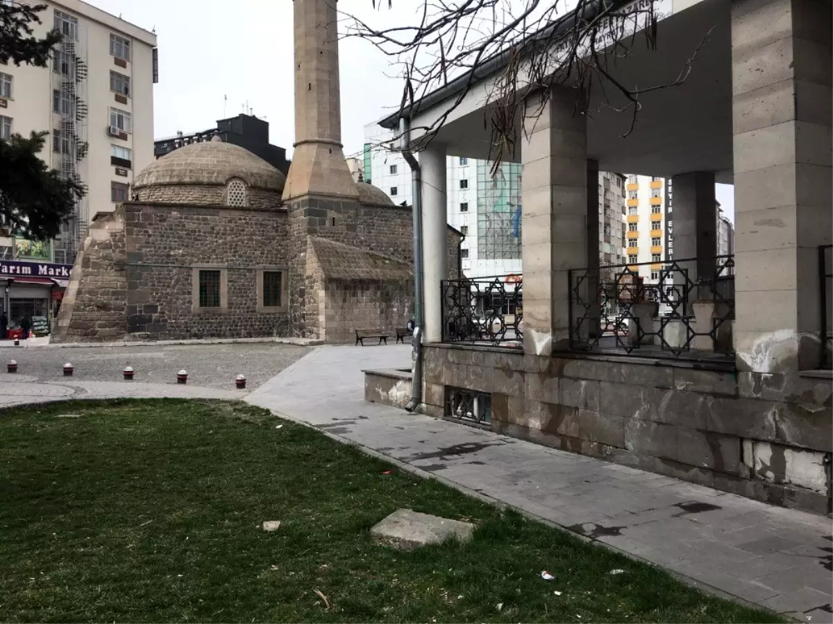 Kayseri\'de cami avlusunu fareler bastı