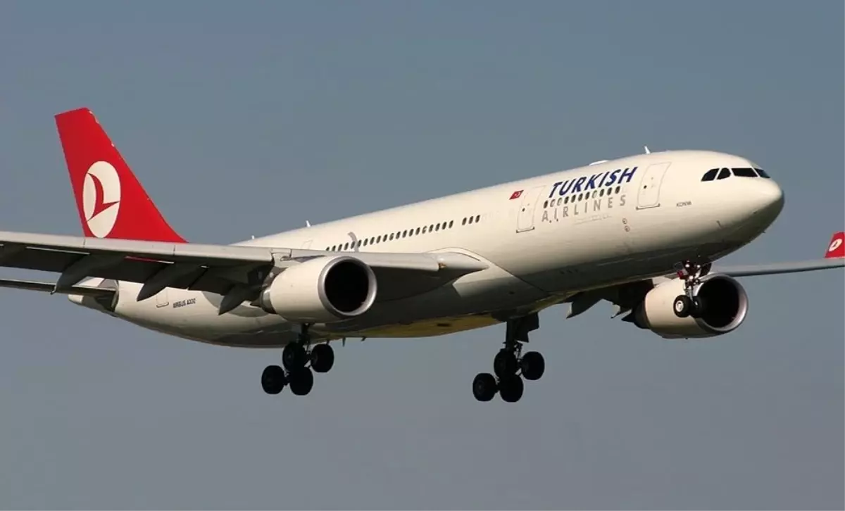 Türk Hava Yolları, yurt içinde sadece 14 noktaya uçacak