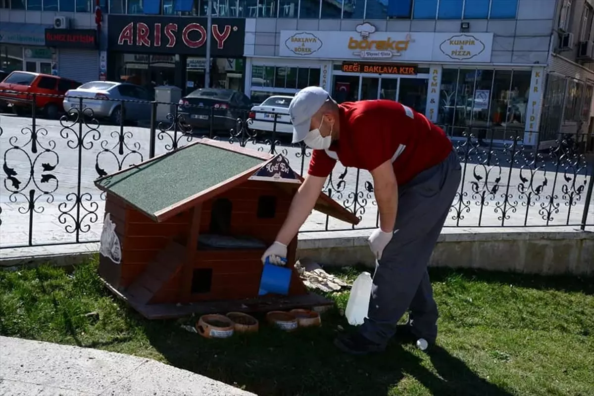 Kırşehir Belediyesinden sokak hayvanlarına mama ve su desteği