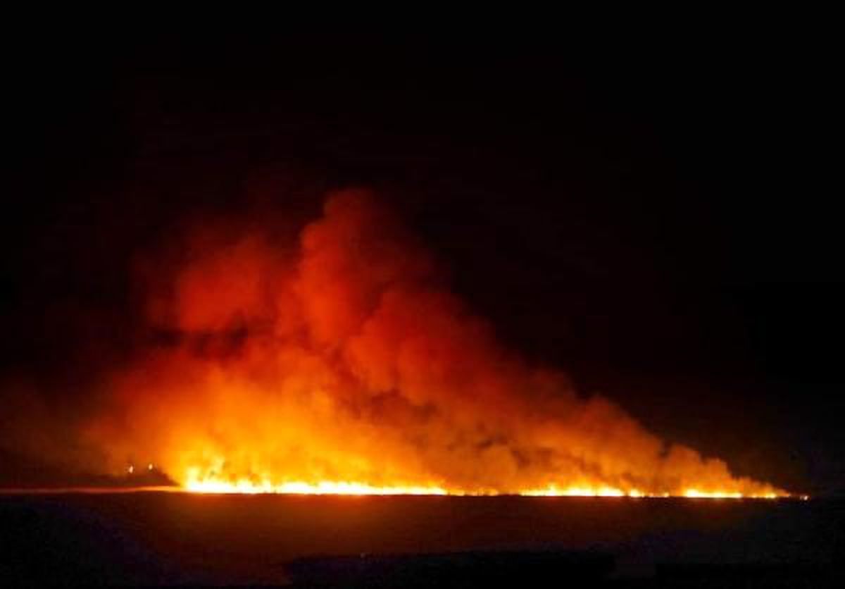 Mersin\'de Ramsar Sözleşmesi\'yle korunan deltada yangın
