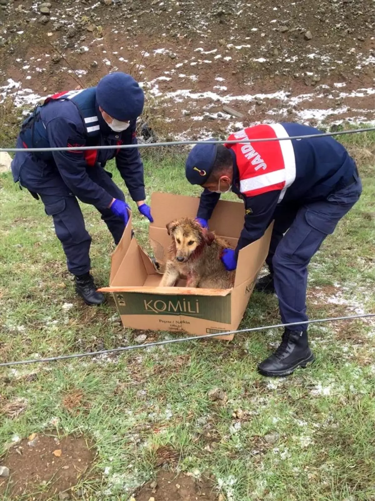 Pozantı\'da yaralı köpek tedaviye alındı