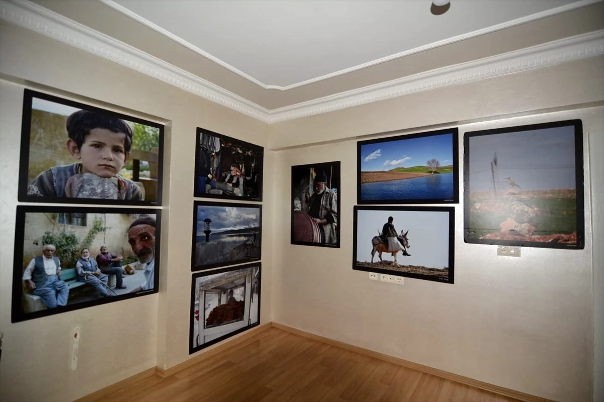 Ressam Fatih Çam\'ın "Evde Kal" fotoğraf sergisi online olarak açıldı