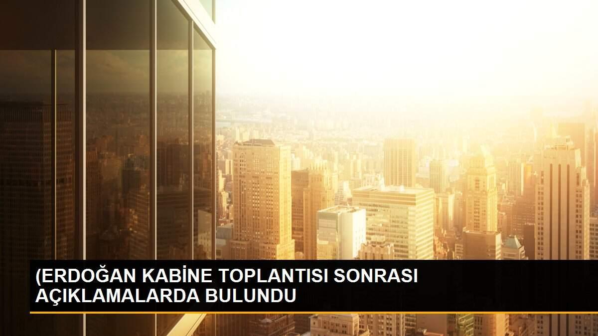 (ERDOĞAN KABİNE TOPLANTISI SONRASI AÇIKLAMALARDA BULUNDU