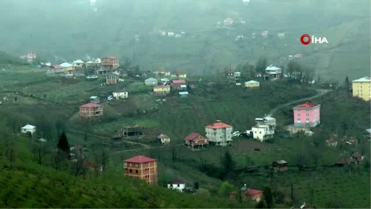 Giresun\'da köylüleri endişelendiren göç dalgası