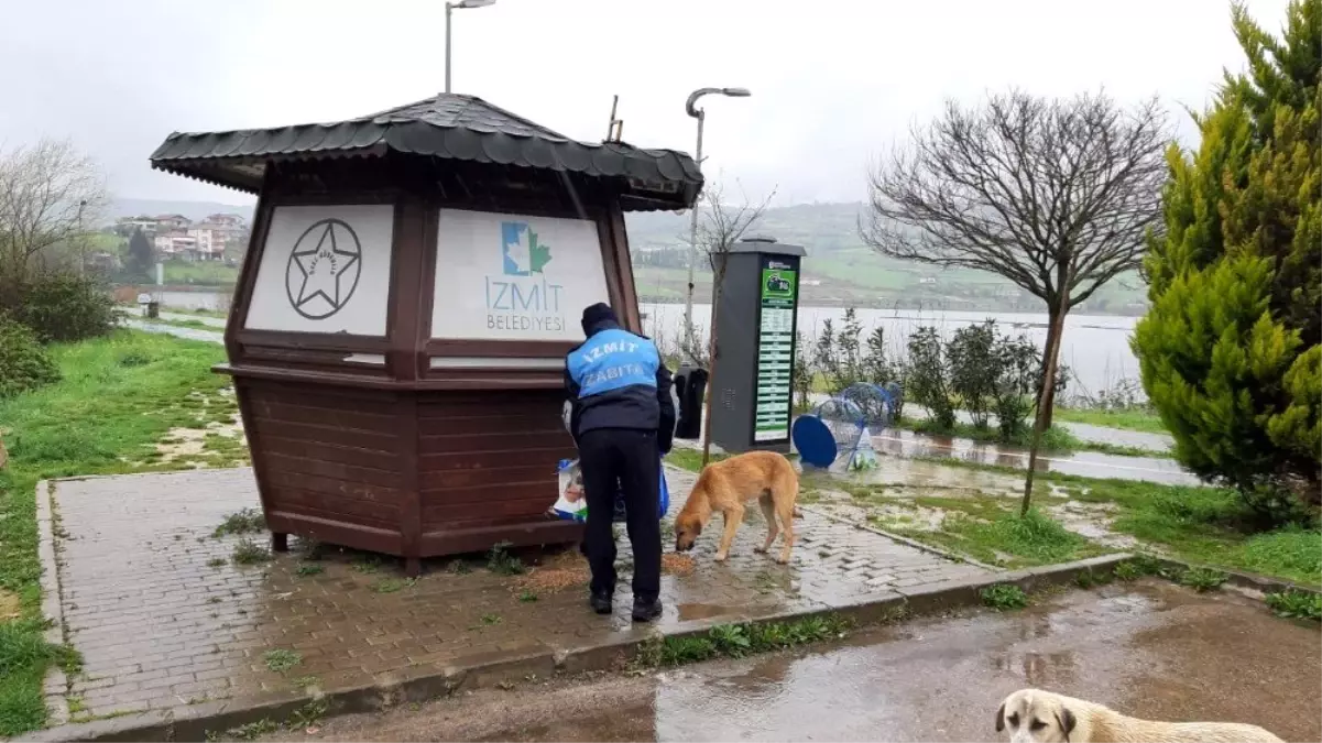 İzmit\'te sokak hayvanları unutulmuyor