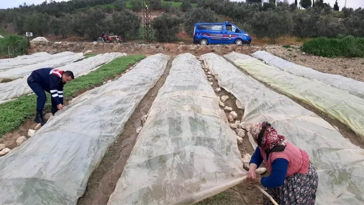 Jandarma kolları sıvadı, tarlada yaşlı teyzeye yardım eli uzattı