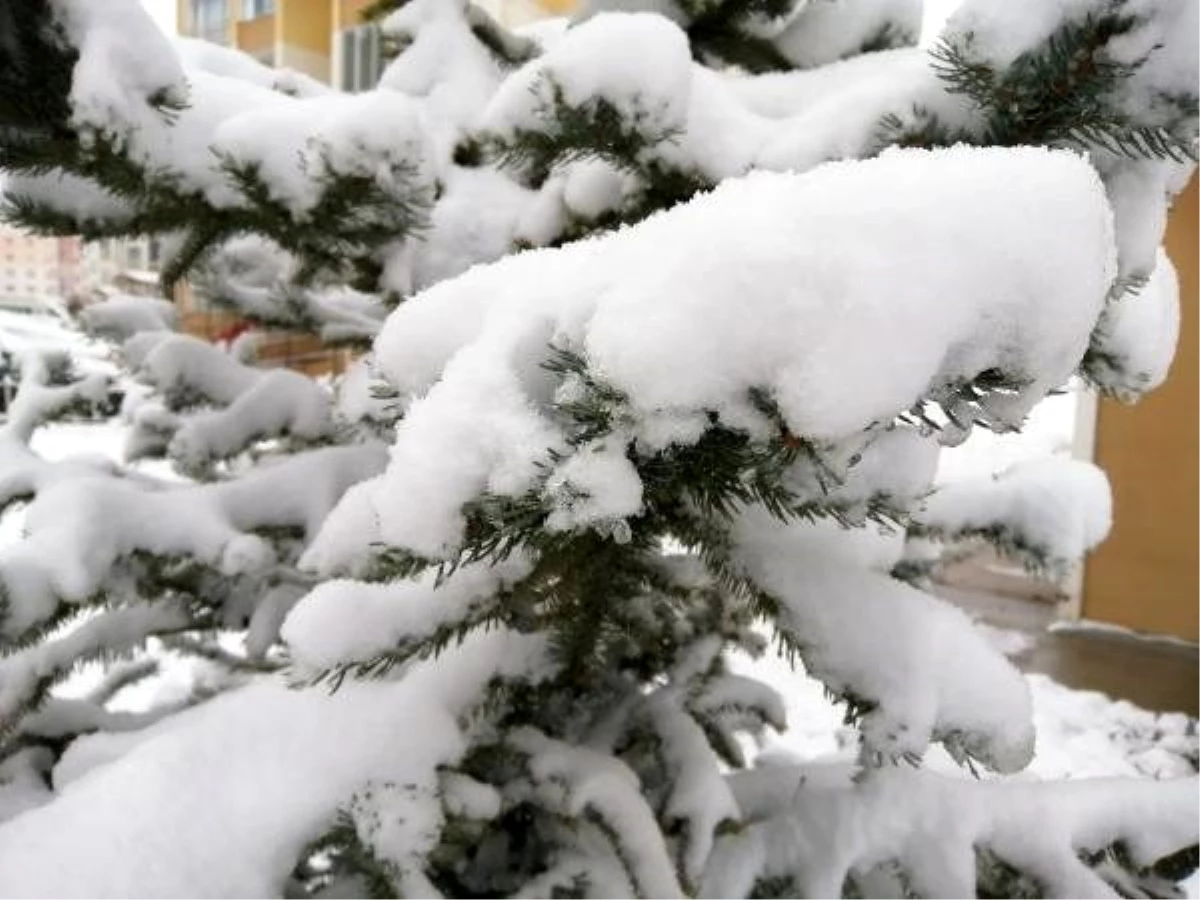 Sivas\'ta kar yağışı etkili oldu