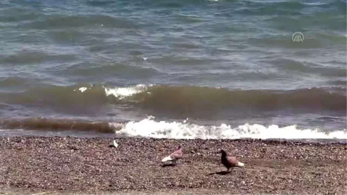 Turizm merkezlerinde sakinlik hakim oldu- MUĞLA