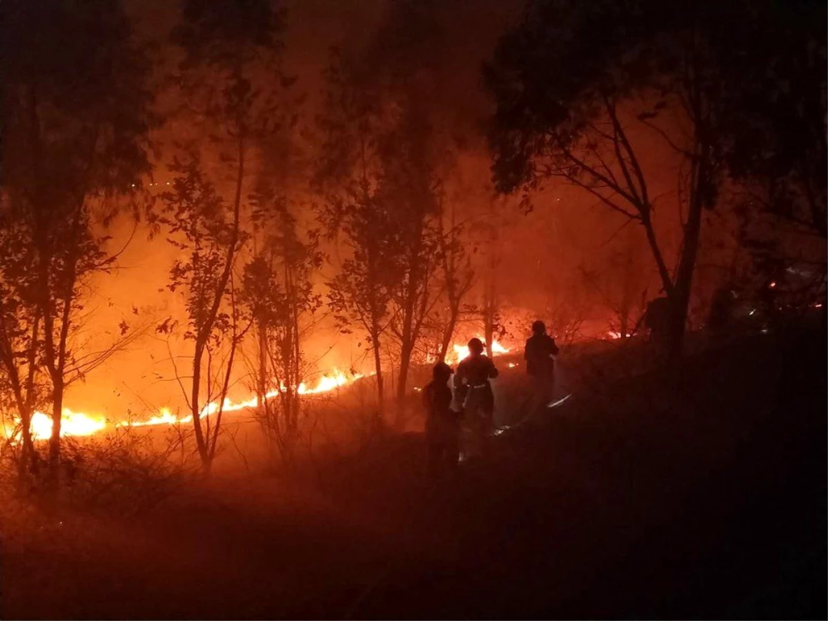 Koronavirüs sebebiyle 3 bini aşkın vatandaşını kaybeden Çin\'de orman yangını felaketi: 19 ölü