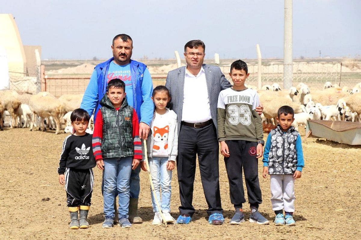 Hayvan üreticileri: "Paramızı kaybedelim, insanlarımızı kaybetmeyelim"