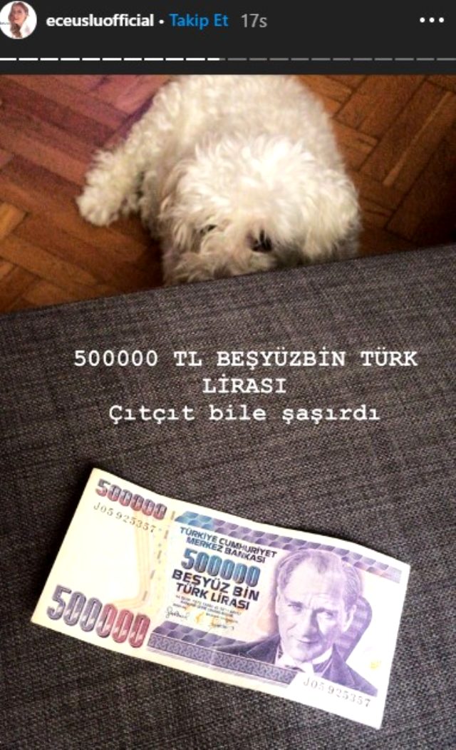 Karantinada olan Ece Uslu, para koleksiyonunu paylaştı