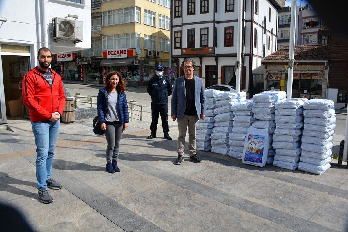 Sinop\'ta sokak hayvanları aç kalmayacak