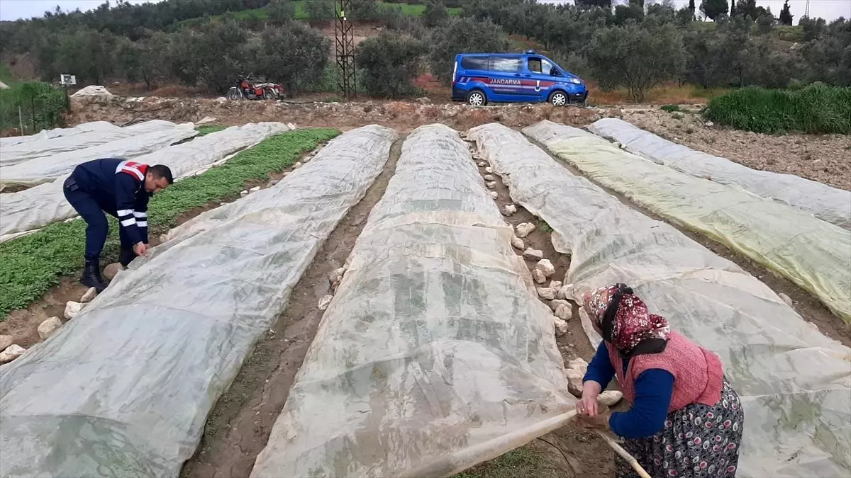 Tarlada çalışan kadına jandarma yardım etti