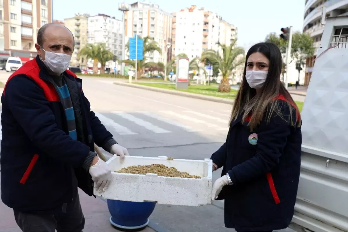 Can dostlara mama dağıttılar