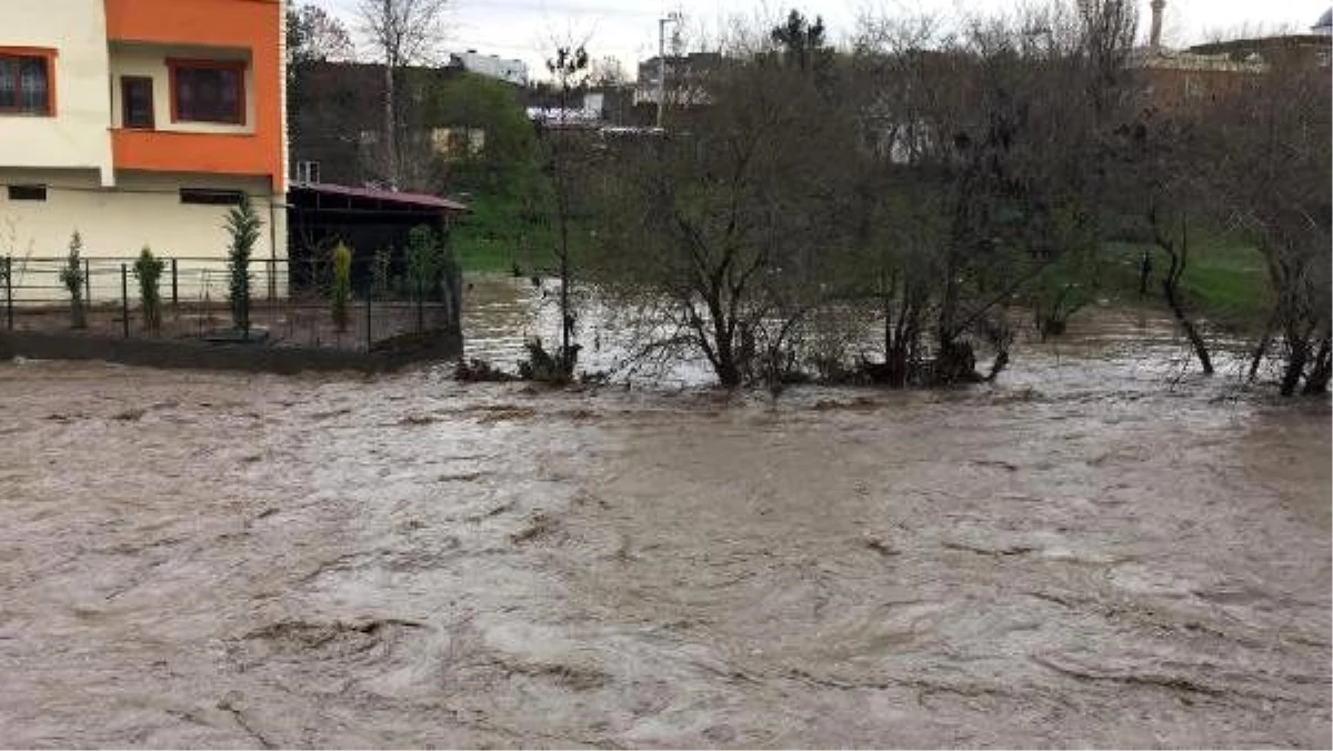 Diyarbakır\'da sel sularına kapılan 250 hayvan öldü