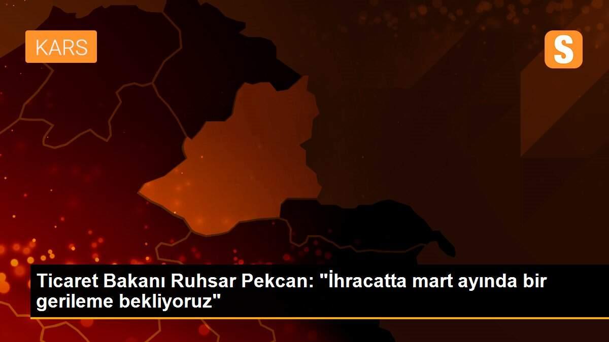 Ticaret Bakanı Ruhsar Pekcan: "İhracatta mart ayında bir gerileme bekliyoruz"