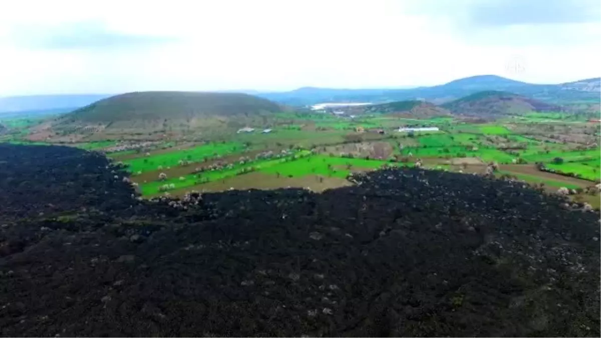 "Yanık Ülke" ilkbaharla renklendi