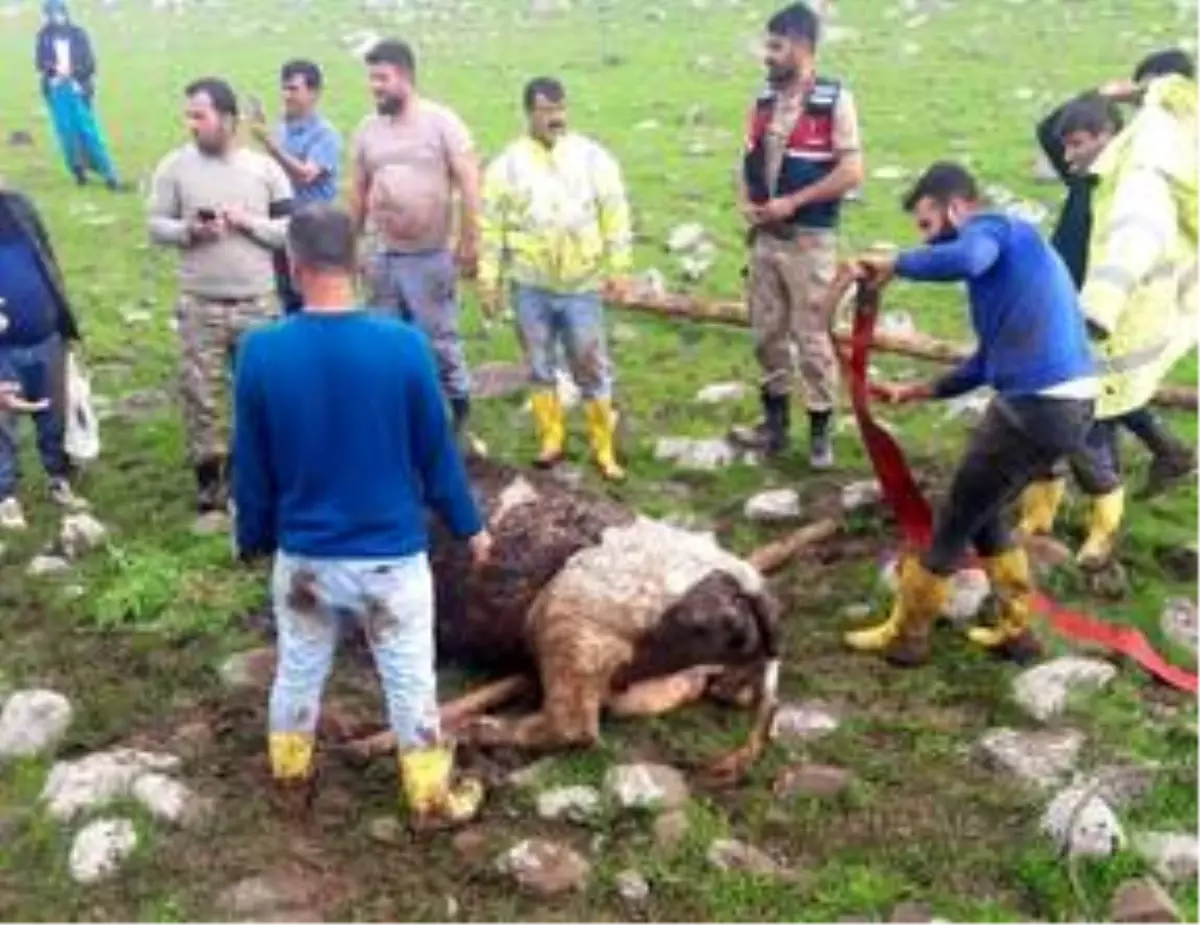 Bağlar Belediyesi ekipleri su baskınında hayvanları telef olmaktan kurtardı