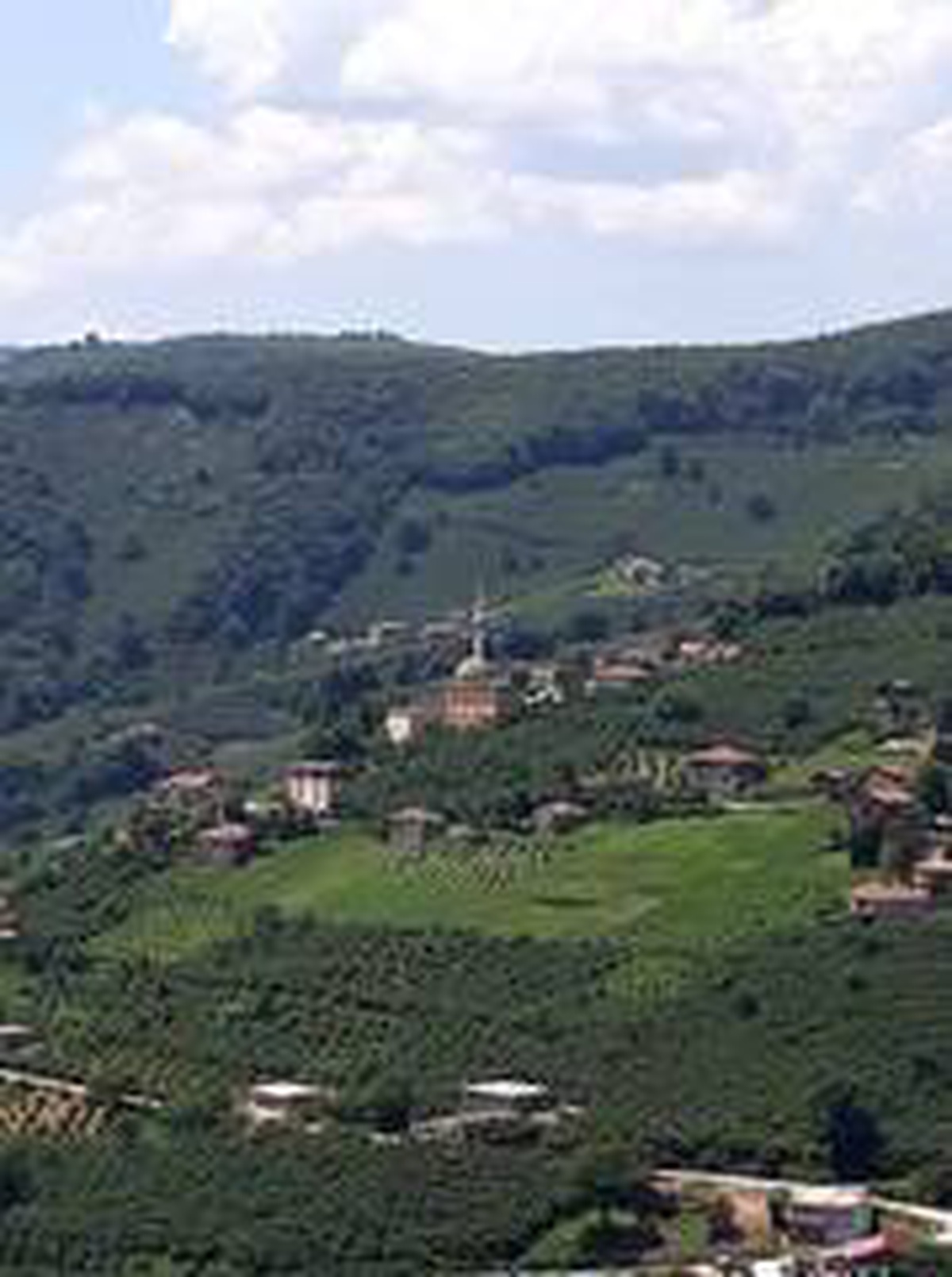 Ordu\'da bir mahalle karantinaya alındı