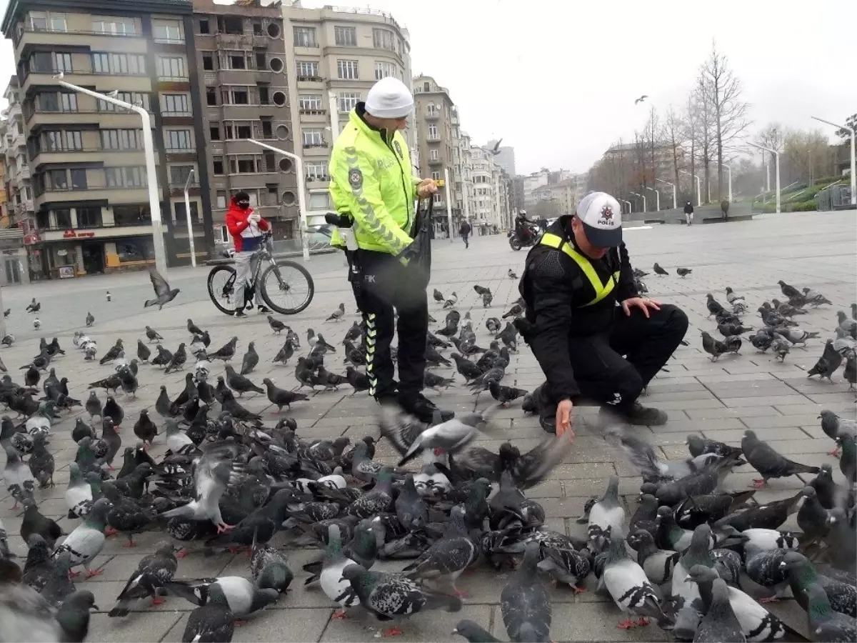 (Özel)Taksim\'de aç kalan güvercinleri trafik polisleri besledi