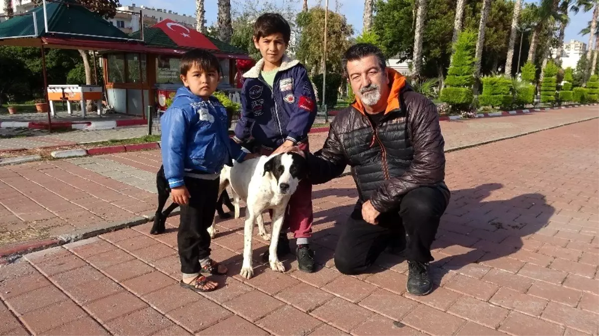 Zor günler yaşayan sokak köpeklerine mama desteği