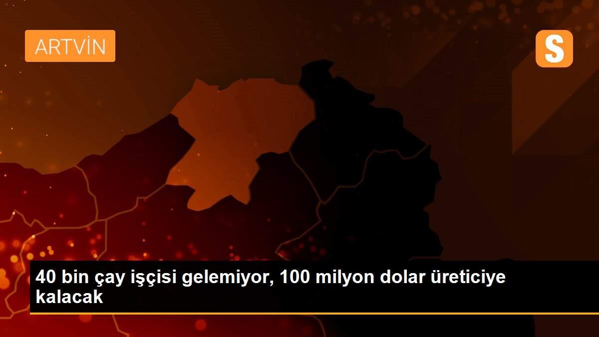 40 bin çay işçisi gelemiyor, 100 milyon dolar üreticiye kalacak