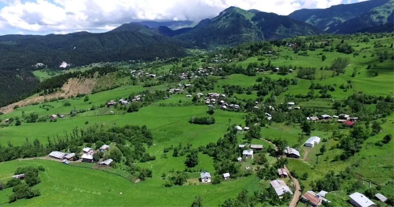 Artvin\'de bir köy daha karantinaya alındı