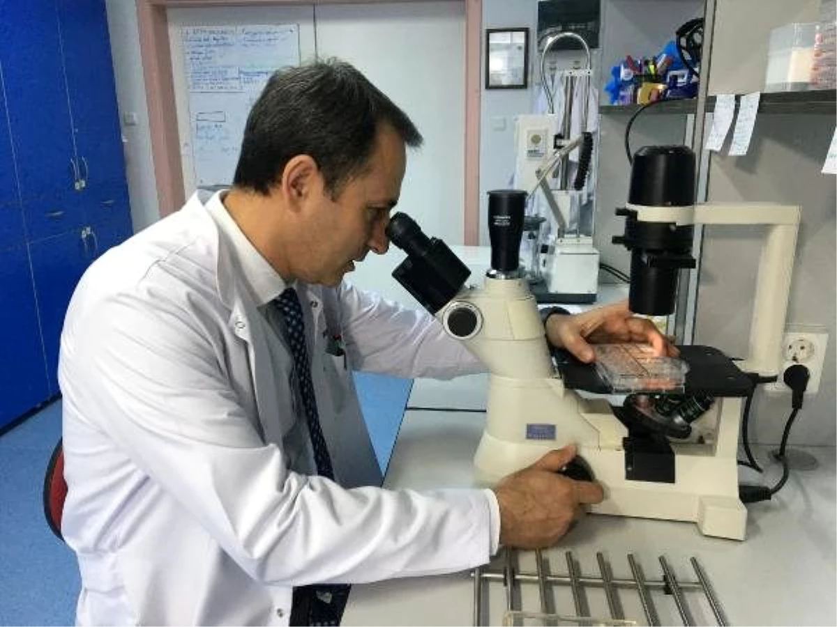 Prof. Dr. Kadir Yeşilbağ: Koronavirüs aşısı en erken yıl sonunda hazır olur