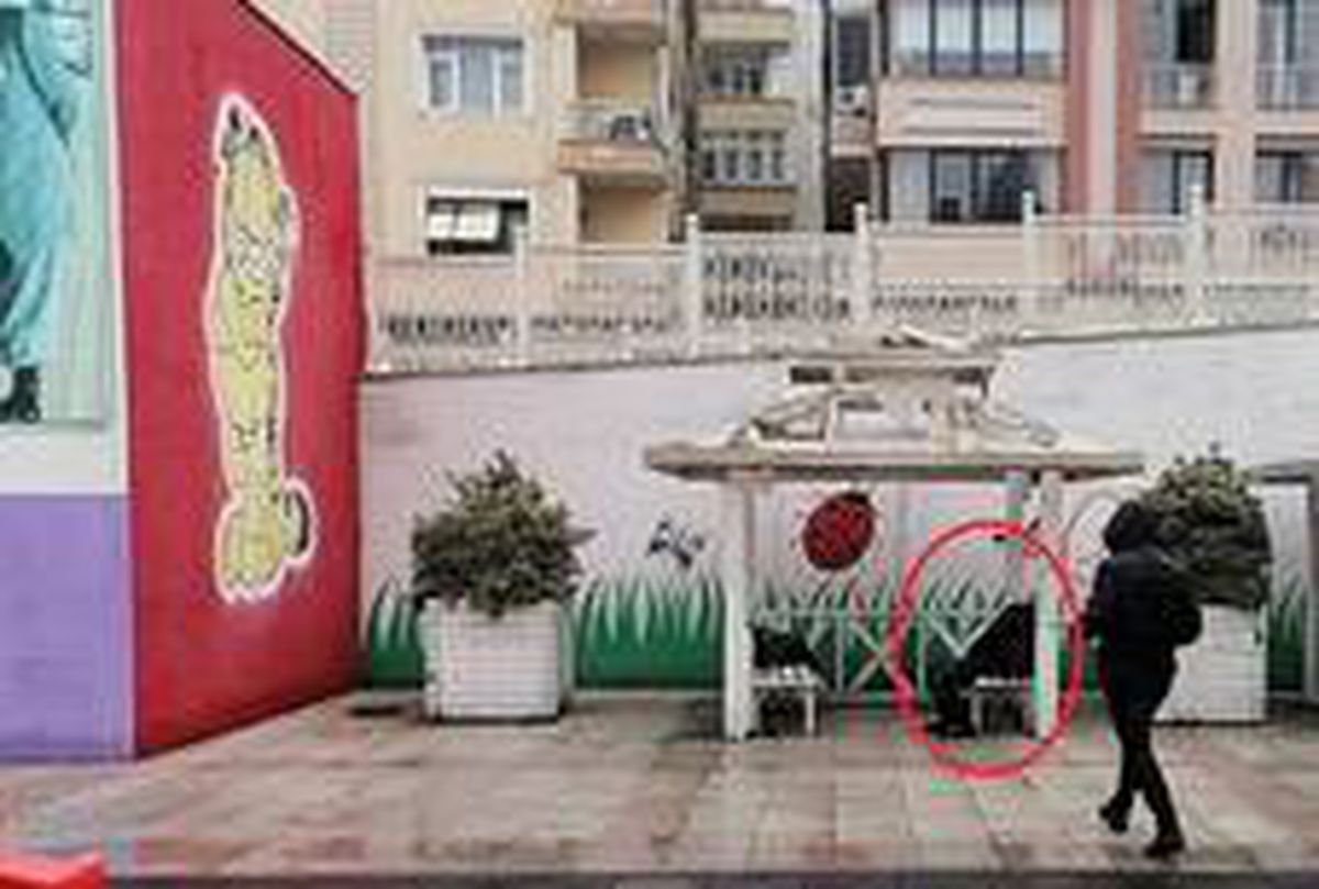 Çocuk parkındaki kamelyada ölü bulundu